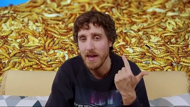 Sommes-nous prêts à manger des insectes ?