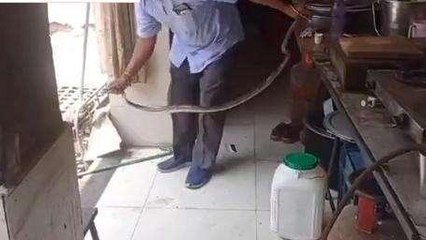 जबलपुर: मेडिकल नर्सिंग हास्टल निकला जहरीला सांप, दहशत में आए लोग..