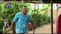 Cù Lao Lúa - Tập 20 - Phim Việt Nam Nói Về Miền Tây