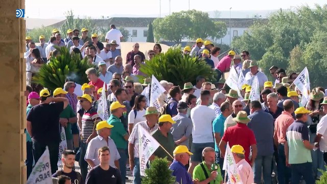 Miles de agricultores y ganaderos protestan ante los ministros de la Unión Europea en Córdoba
