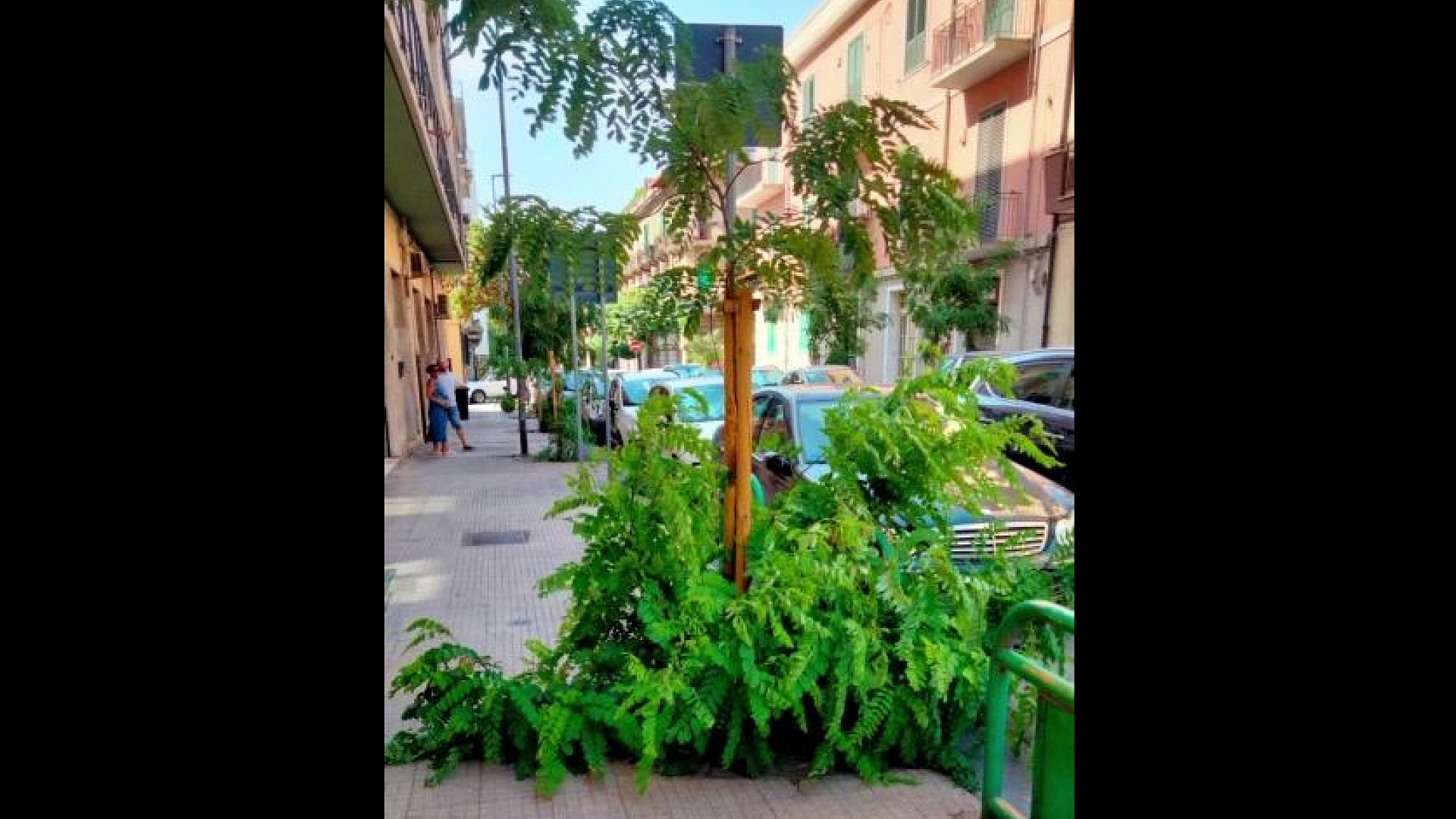 Video Semaforo rosso per la gestione del verde cittadino