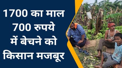 गाजीपुर: चक्रवात से से केले की खेती करने वाले किसानों का हुआ भारी