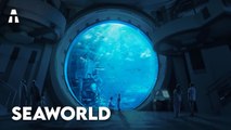 Le Plus Grand Aquarium du Monde, un Défi Technique Relevé pour les Émirats Arabes Unis !
