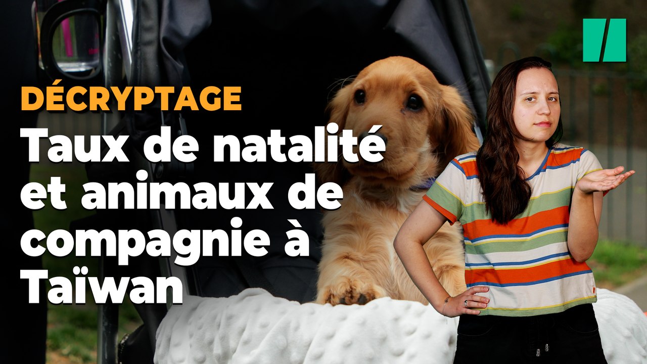 Taïwan : un milliardaire qui se présente aux élections veut offrir un animal pour chaque nouveau-né