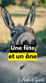 Une fête bof pour les ânes