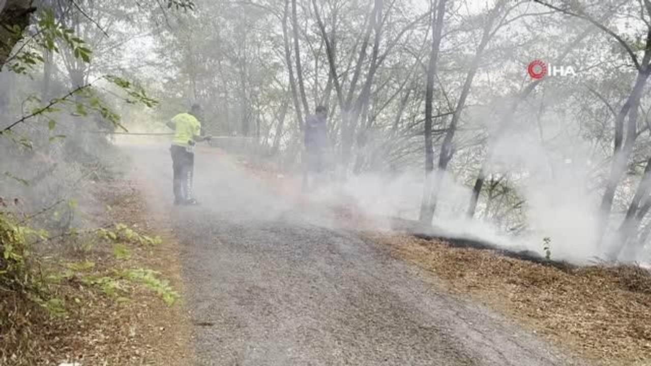 Karabük'te Ağaçlık Alanda Çıkan Yangına Polis v...