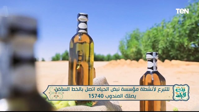 لقاء مع الداعية الدكتور مصطفى العكريشي من علماء الأزهر الشريف | بنت البلد