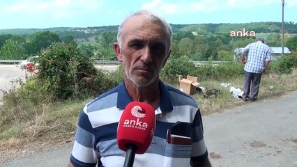 Sinop'ta Sokak Köpekleri Sorunu: Vatandaşlar Yardım İstiyor