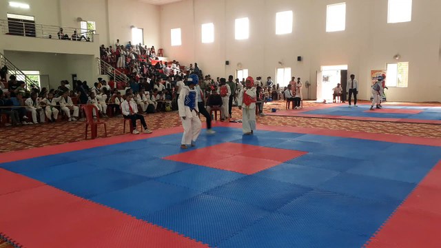 सबसे अधिक पदक के साथ भोपाल संभाग बना चैंपियन