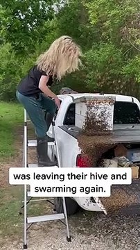 Un essaim d'abeilles a envahi sa voiture, elle la déplace vers une vraie ruche !