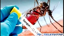 Video News - DENGUE, CASO SOSPETTO IN CITTA'