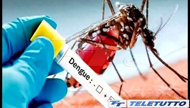 Video News - DENGUE, CASO SOSPETTO IN CITTA'
