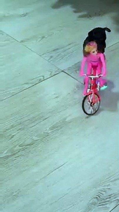 Tiny Puppy Rides Musical Toy Bicycle With Barbie Doll   PETASTIC