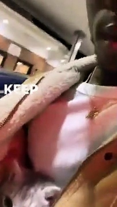 Gorgeous kitty gives a 'Strictly Business' look after popping out of owner's coat   PETASTIC