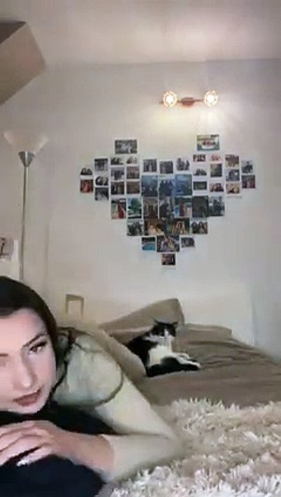 Pretending To Cry To See Cat Reaction  Cute Reaction    PETASTIC