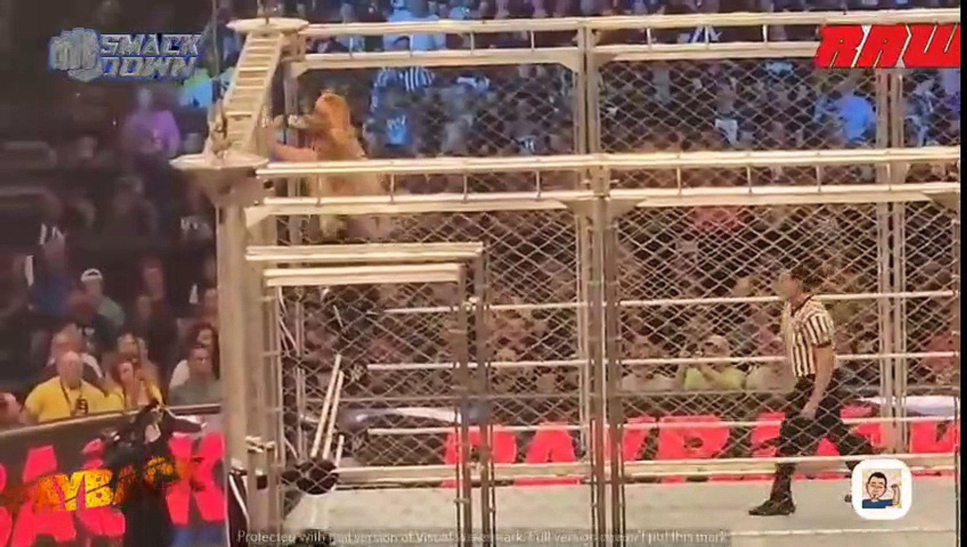 Becky Lynch Vs Trish Stratus Set In Steel Cage Match After Double Count-Out  On 8/14 WWE Raw - Sacnilk