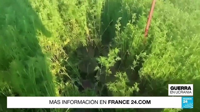 Uso de bombas de racimo aumentó y afecta a civiles principalmente, según informe