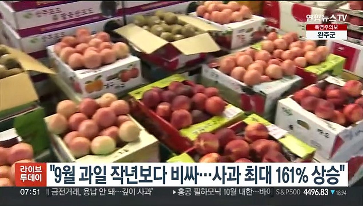 "9월 과일 작년보다 비싸…사과 최대 161% 상승"