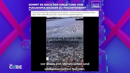 Wahr oder falsch: Hat die Verklappung des Fukushima-Wassers ein riesiges Fischsterben ausgelöst?
