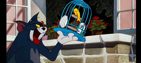 Tom and Jerry New Cartoon 2023।। Tom and Jerry।।Tom and Jerry Cartoon