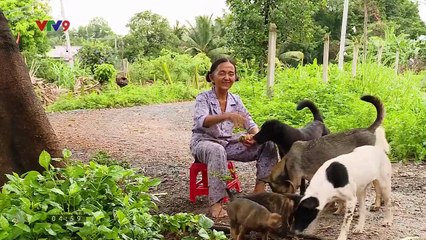 Cung Đường Tội Lỗi - Tập 45 | Khám Phá Những Bí Ẩn Hấp Dẫn