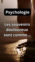 FACT DAILY SHORTS MOTIVATION