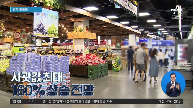 [경제 톡톡톡]사괏값 최대 160% 상승 전망
