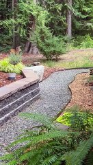 Befriending Orphaned Blacktail Deer and Their Reactions to My Elderly Chihuahua