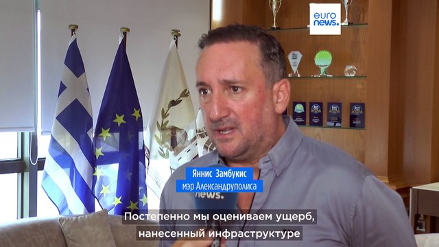 В Греции подсчитывают ущерб от лесных пожаров