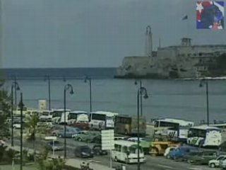 Economicas Semillas turismo By BurronAzul.net