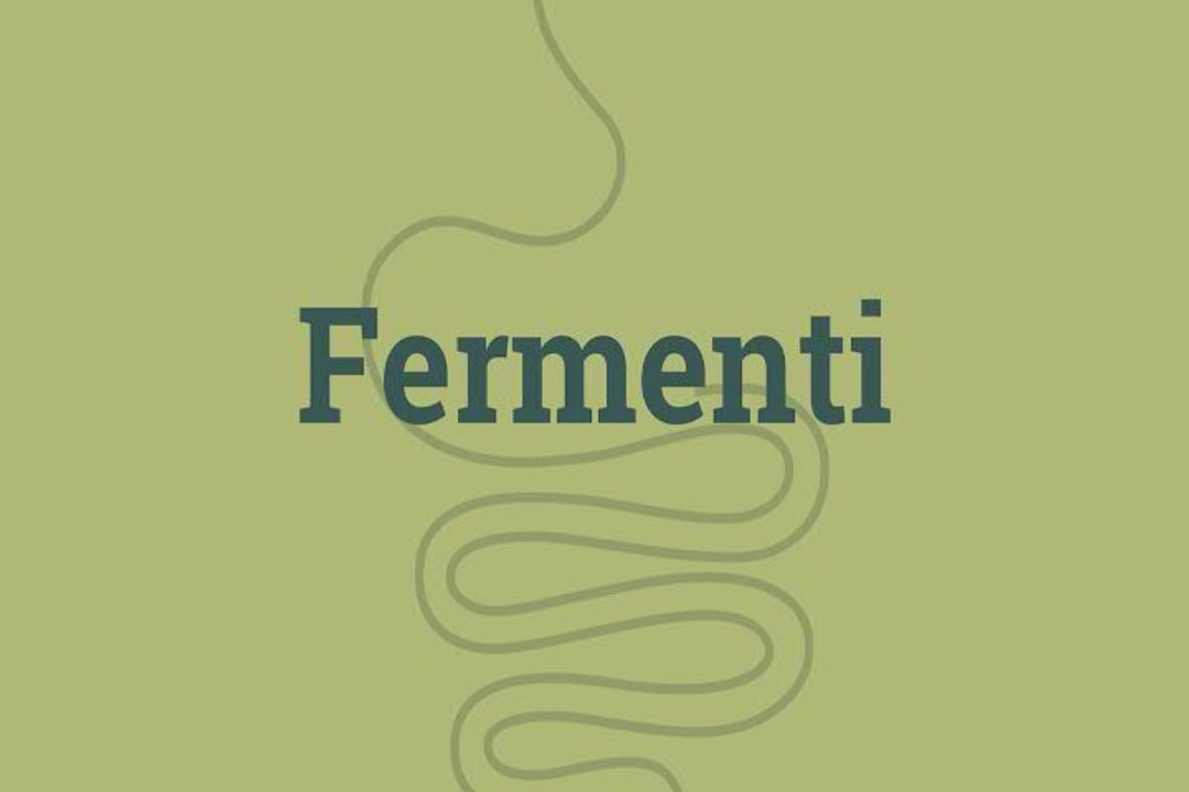 I probiotici tra 'farmaci' e 'fermenti lattici'. Nuove prospettive di cura per la SLA