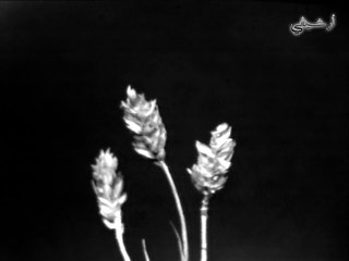 مسلسل البيادر الحلقة 1 الاولى  بطولة عباس النوري - نادر وحصري