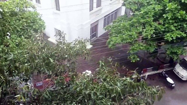 Video: तेज हवाओं के साथ झमाझम बारिश से तरबतर हुआ शहर, किसानों के चेहरे खिले