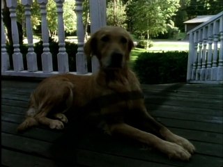 Goosebumps S01E11 my hairiest adventurers in english