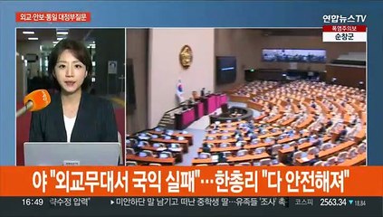 대정부질문 '외교안보'…오염수·외교 성과 공방