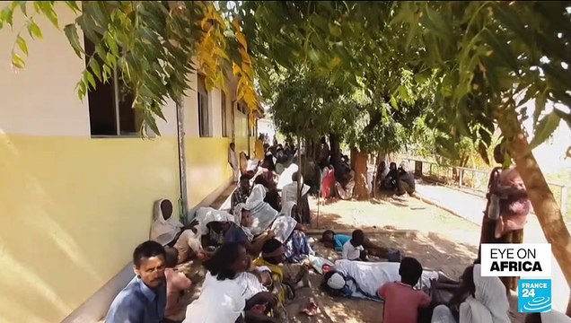 Eritrean troops 'committed war crimes' in Ethiopia, says Amnesty