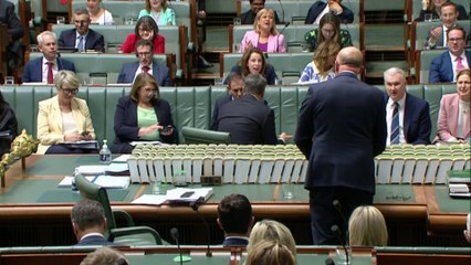 Transport Minister questioned over decision on Qatar flights