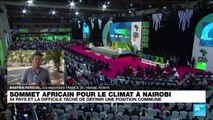 Climat : à Nairobi, les leaders africains en quête d'une voix commune pour une croissance verte