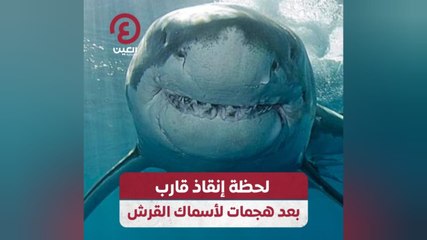 لحظة إنقاذ قارب بعد هجمات لأسماك القرش