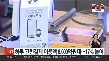 하루 간편결제 이용액 8,000억원대…17% 늘어