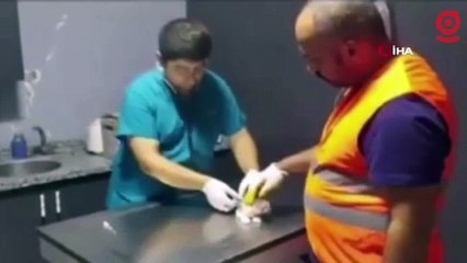 Yavru kediyi kurtarıp, ağır hasarlı binanın yıkımına devam ettiler