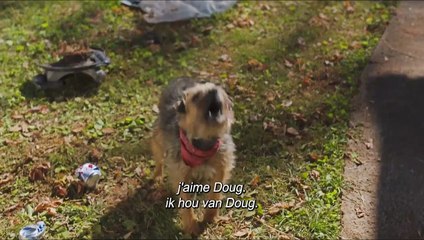 Backstreet Dogs Bande-annonce (FR)