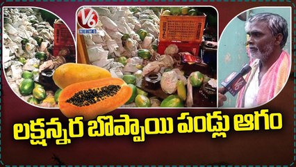 Huge Loss For Papaya Farmers Due To Strong Wind Rain | Telangana Rains | V6 News