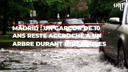 Madrid : Un garçon de 10 ans reste accroché à un arbre durant huit heures pour éviter la noyade