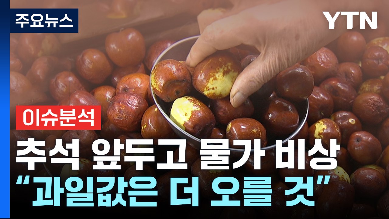 [뉴스라운지] 다시 3%대로 오른 소비자 물가...추석 앞두고 과일값 폭등 / YTN