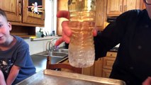 Kitchen Science Experiments | Homemade Experiment For Science Lovers