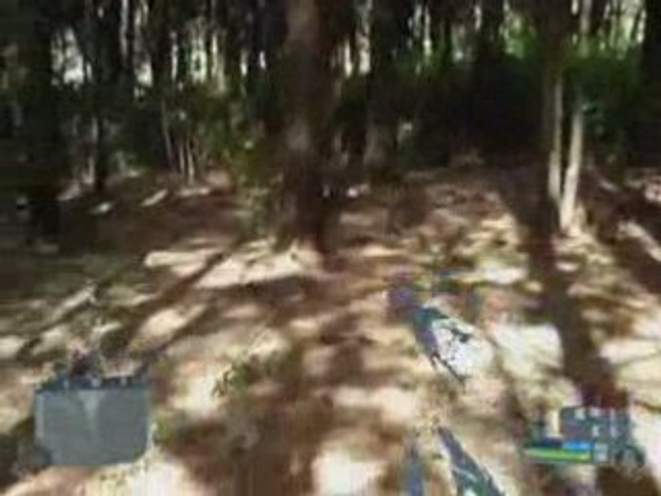 Crysis - A Realidade