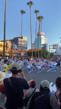 Tokushima Awa Odori Festival. とくしま阿波踊り