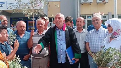 Bodrum'da açılmak istenen taş ocağına karşı mücadele sürüyor