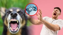 Rabies Me Pani Se Dar Kyon Lagta Hai | Dog Bite Ke Bad Pani Se Dar Kyu Lagta Hai | Boldsky